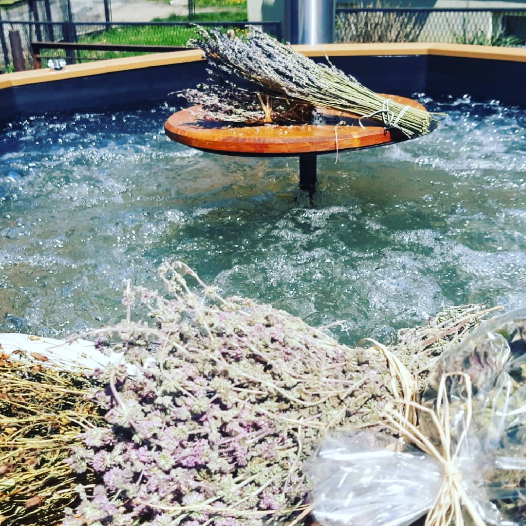 Kąpiele ziołowo - miodowe gojnik przy wannie termalnej